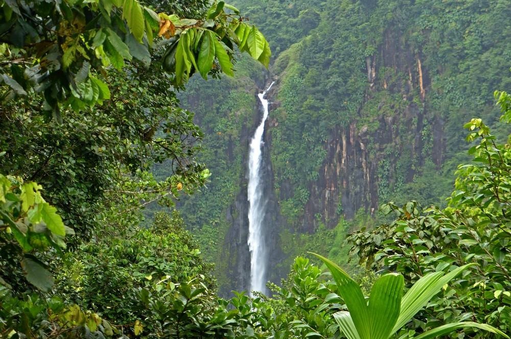 Les chutes du Carbet